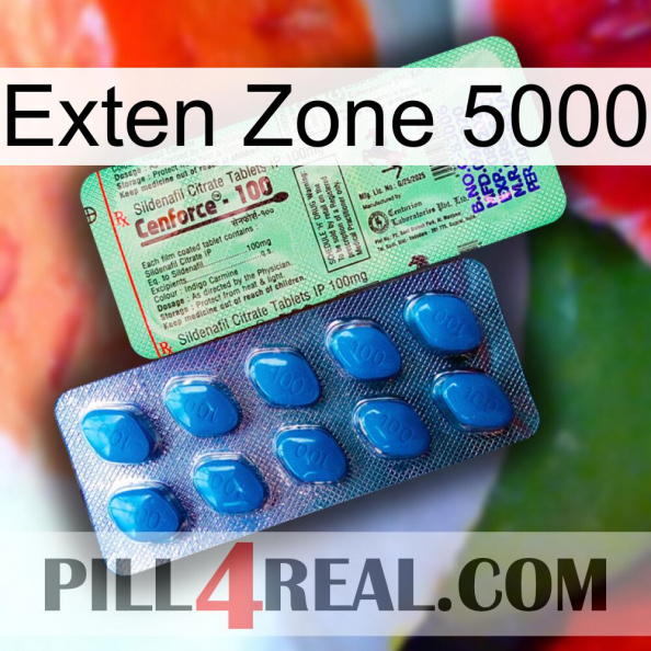 Exten Zone 5000 new02.jpg